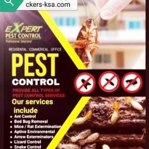 PEST CONTROL⭐FUMIGATION CLEANING & RELOCATION SERVICES IN ALL KSA (0504 377 677)