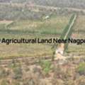 Documents Required For Agricultural Land In Nagpur Transactions