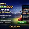 Cricbet999 Is Trending During IPL Season
