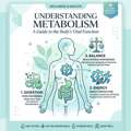Simple Science Behind Weight & Metabolism