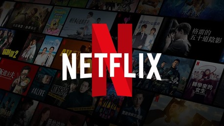 Netflix Mirror APK 2.0.4 (100% Working) Download 2024