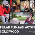 🔥 Popular Punjabi Actor In Bollywood – Kirandeeprayat