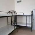 AED 1200/month, 500 Sq. Meter, Executive Boys Bedspacs