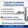 Online Plumbing Consultation For Expats – Fast & Reliable Help