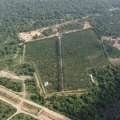How Agricultural Land Near Nagpur Helps Diversify Your Investment Portfolio