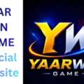 INR 100, Yaarwin Game