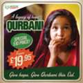 Qurbani 2026 UK From Just £19.95 | Donate Online Today