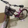 SAR 450, Gear Bicycle For Girls