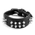 Adjustable Metal Buckle Studded Collar