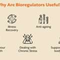 Support Your Immune System Naturally With Organ-Specific Bioregulators
