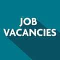 Looking For Freelance Internet Marketing Agent & Marketing Manager