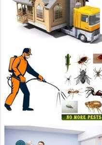 HPEST CONTROL♥️SPRAYS♥️And BED BUGS♥️Solution With Guaranteed♥️0575282420